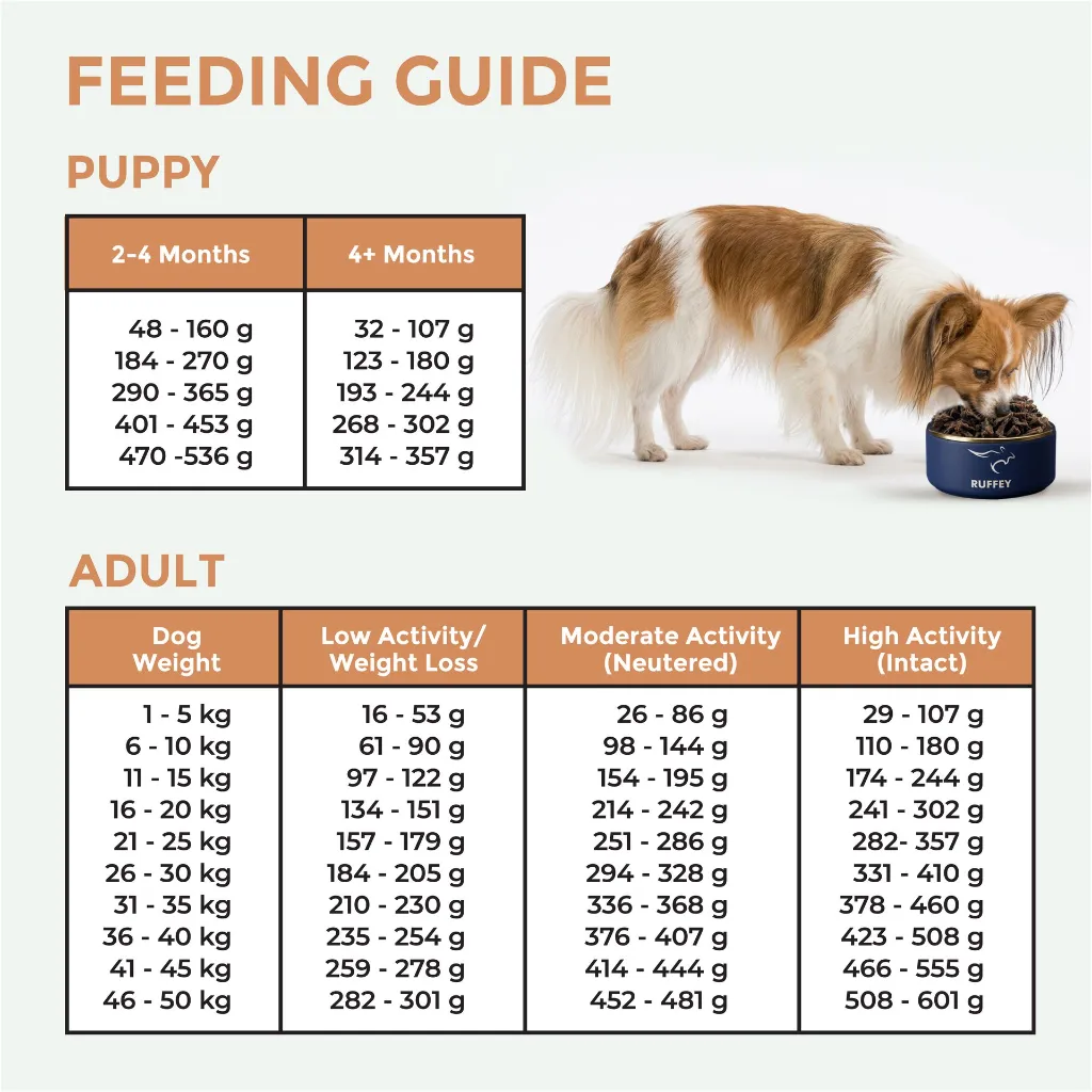 FEEDING GUIDE_B.webp
