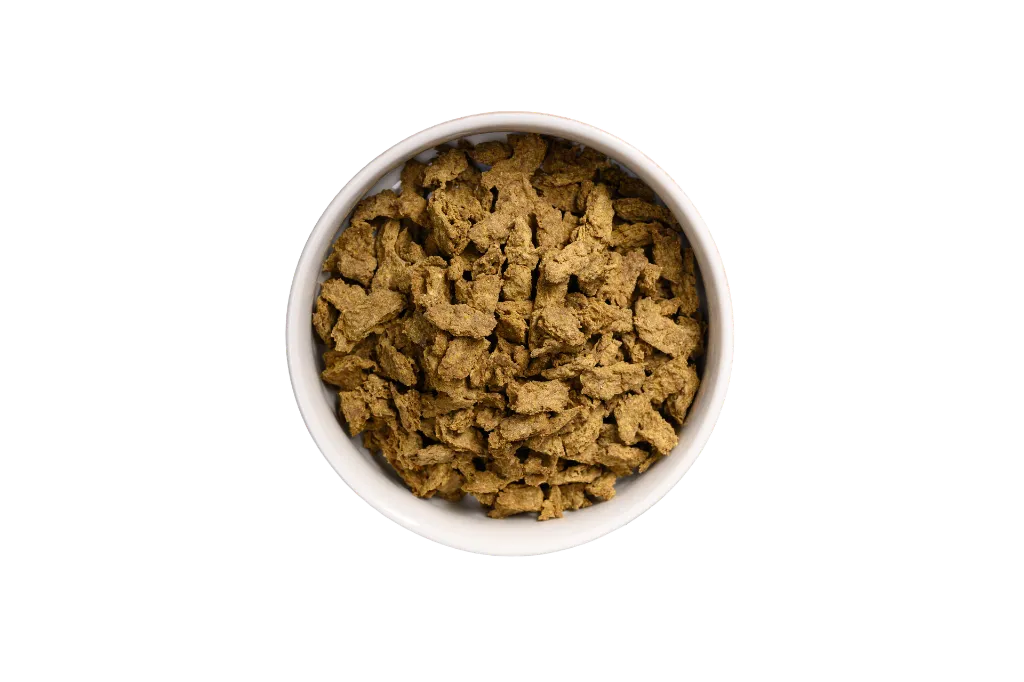 DOG_BEEF no bg.webp