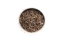 CAT_VEN no bg.webp