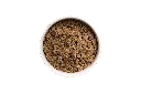 CAT_LAMB no bg.webp