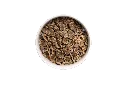 DOG_P_LAMB no bg.webp