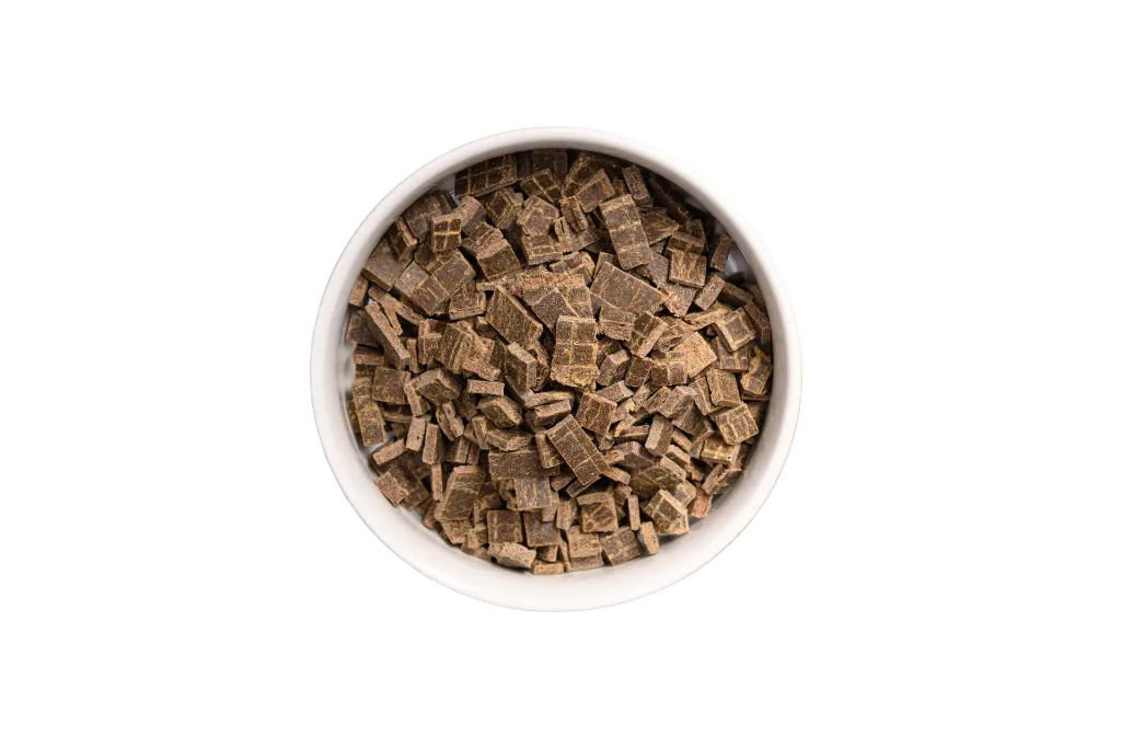 DOG_P_LAMB no bg.webp