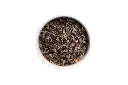 DOG_P_ROO no bg.webp