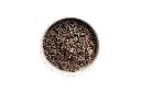 DOG_P_VEN no bg.webp