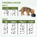 FEEDING GUIDE_L.webp