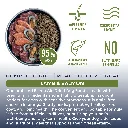 LAMB 1.webp